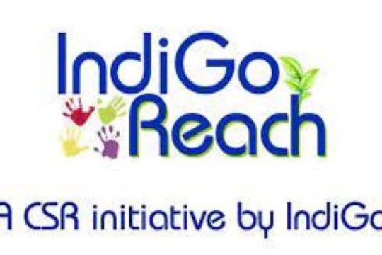 IndiGoReach and InterGlobe Foundation Organize A Heritage walk in Bhuvaneshwar