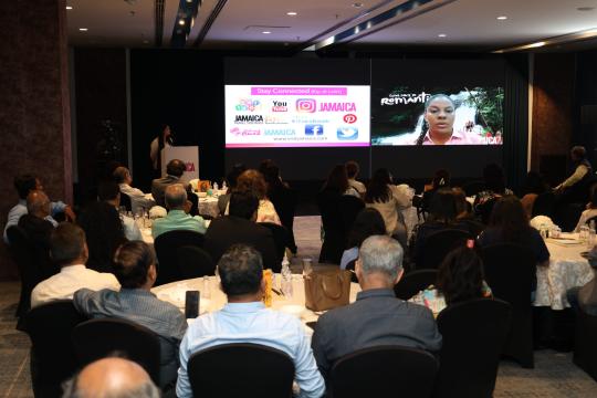 Jamaica strengthens ties travel trade in Mumbai