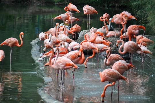 Nature Positive Tourism Partnership heads to COP16 in Colombia