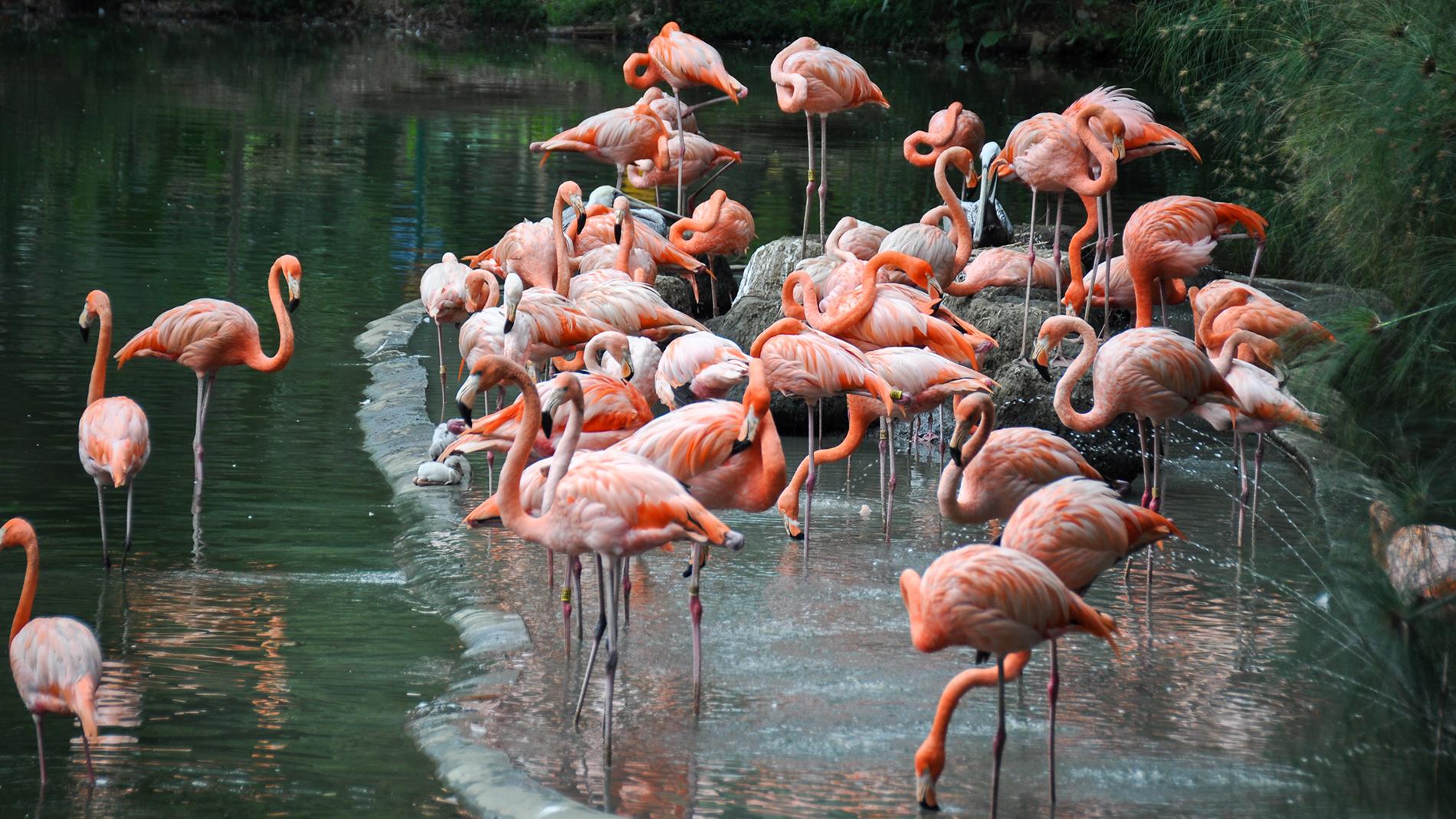 Nature Positive Tourism Partnership heads to COP16 in Colombia