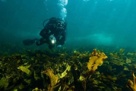 Oman Sets up Directorate Of The Underwater Submerged Antiquities