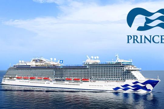 Cruiseliners Gear Up For India With a Definite Roadmap