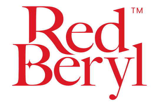 The Leela Palaces partners with RedBeryl to elevate luxury traveler experiences