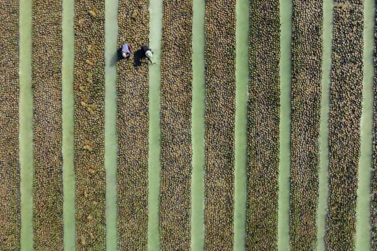 RSG announces fourth Annual Sustainability Report highlighting progress towards 30% net conservation benefit goal by 2040