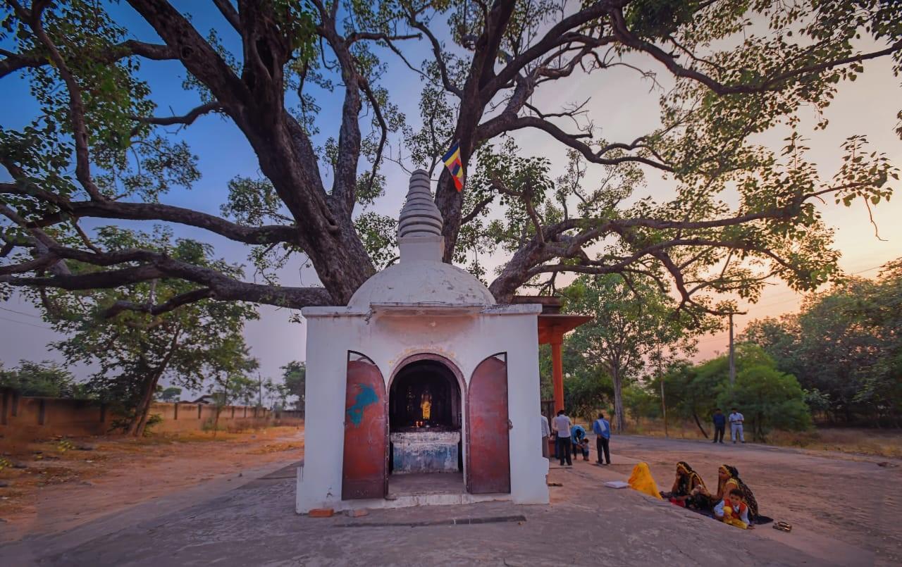 UP Tourism to develop Sankisa into world-class Buddhist tourist destination: Jaiveer Singh