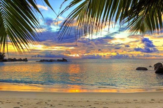 Goa Tourism reports 10.5% YoY surge in Q1 2025 tourist arrivals